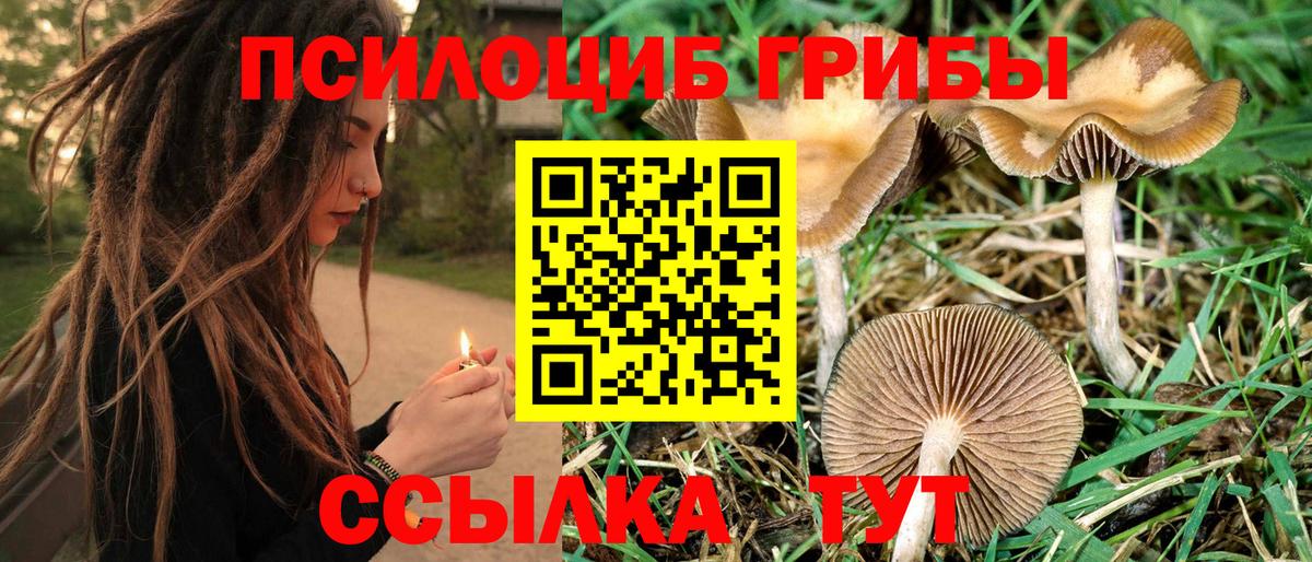 Гашиш  Новочебоксарск  Каннабис  Купить наркоту  МЕФ кристаллы  Героин  МЕТАМФЕТАМИН  ГАШИШ  МАРИХУАНА  Cocaine  Вход с VPN 