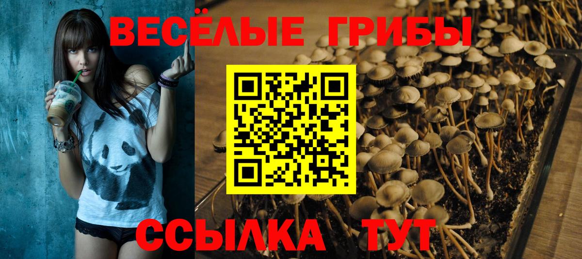 Новочебоксарск  Галлюциногенные грибы мухоморы  Вход с VPN 