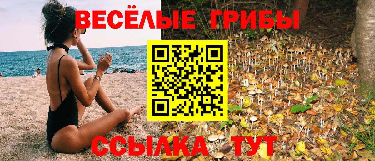 Псилоцибиновые грибы ЛСД Новочебоксарск